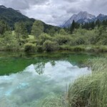 Zelenci Naturschutzgebiet