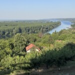 Donau Blick vom Restaurant Vinogradi