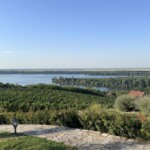 Donau Blick vom Restaurant Vinogradi