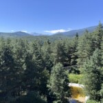 Bear Sanctuary Belitsa