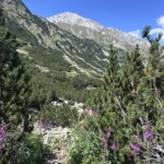 Wichren Gipfel 2914 Meter