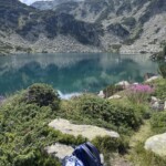 Ribnoto See