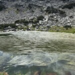 Langensee