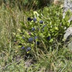 die Verführung die Zeit zu verlieren