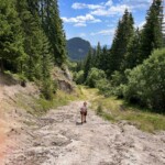 Skipiste bergauf im Sommer