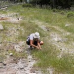 Frau Rutzel sucht wilden Thymian