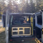 Schlafzimmer, Wohnzimmer - zu Hause 🍀