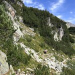 Heidelbeeren Stop 😋